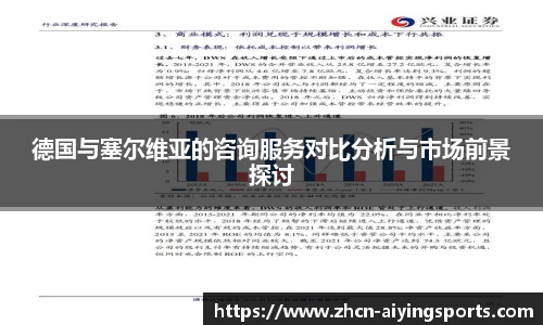 德国与塞尔维亚的咨询服务对比分析与市场前景探讨